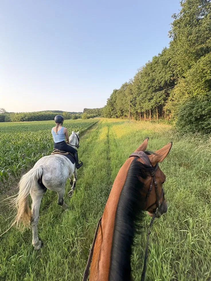 Конная прогулка